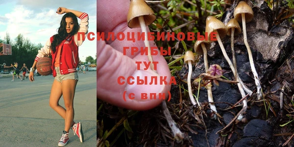 тгк Алзамай